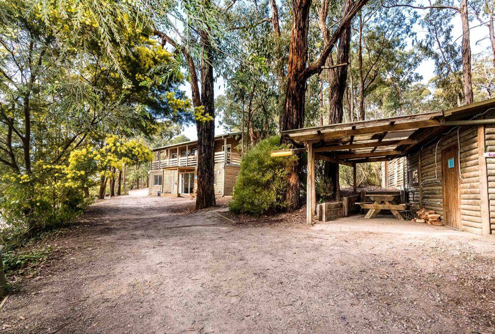 Cabins, bungalows, or luxury accommodation